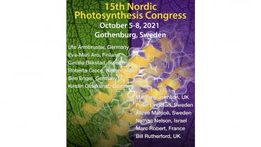 Nordic Congress Flyer