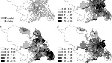 Urban greenspace and health inequality