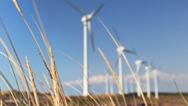 Windmills with dry grass in the forefront