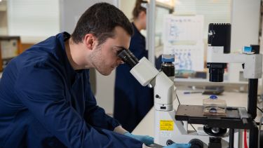 A male student looks into a microscope