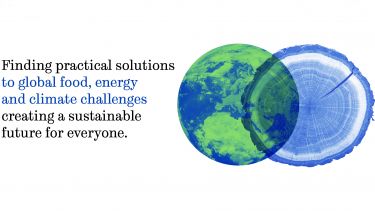 Finding practical solutions to climate challenges
