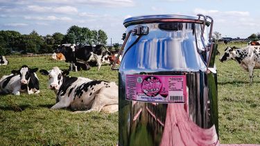 One of Milk Churns