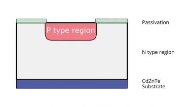 P-Region HgCdTe