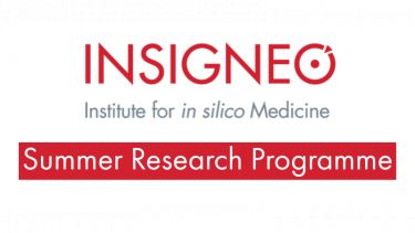 Insigneo Summer Research Programme Graphic