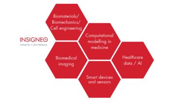 Insigneo research theme structure hexagons