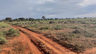 A dirt road in Mozambique