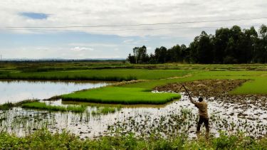 A picture of a man in the Ugandan wetlands