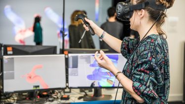 Student uses virtual reality to explore the vascular system