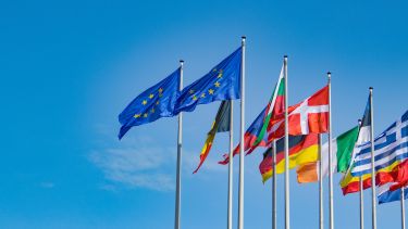 A collection of flags representing the countries in the European Union, with 2 EU flags at the front. The sky behind the flags is blue with very few clouds.