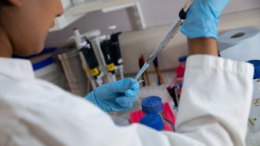 Photograph of work being done in a Reproductive Lab