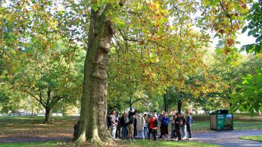 Landscape Architecture students in London's Hyde Park