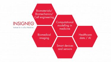 Insigneo research theme structure hexagons