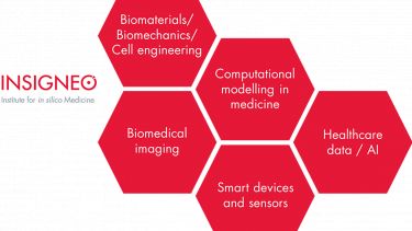 Insigneo research theme structure hexagons