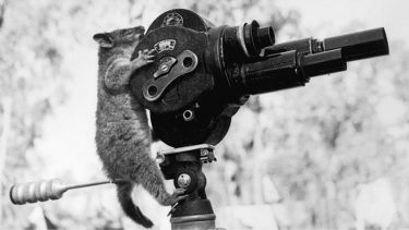 Black and white photograph of a possom on a movie camera
