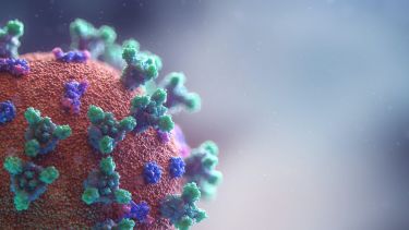 Close up of spherical virus