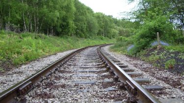 Rail line surrounded by trees