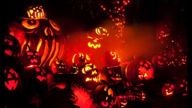 A gathering of carved illuminated pumpkins