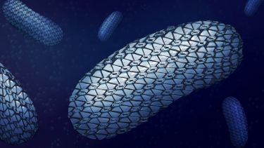 Artist illustration of the chain-mail like structure of the bacteria 