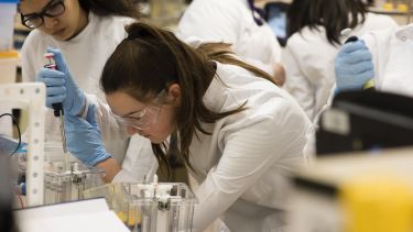 Student working on an experiment in the lab