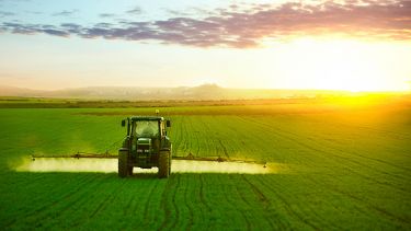 Pesticide spray in field
