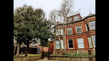 Three stem large mature tree in front of a University of Sheffield property 