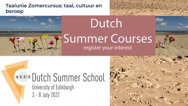 beach background with two announcements of summer courses in Dutch language summer courses