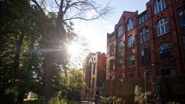 An image of the back of Firth Court with trees in the foreground