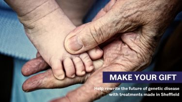 Older person holding onto a baby's foot with text that reads: Make your gift. Help rewrite the future of genetic disease with treatments made in Sheffield.