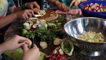 People chopping veg