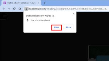 A pop-up box reading "eu.bbcollab.com wants to use your microphone." The word "Allow" is highlighted in red.