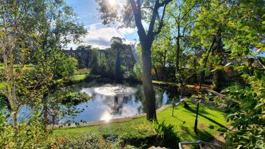 Photo of the pond in the Endcliffe accommodation