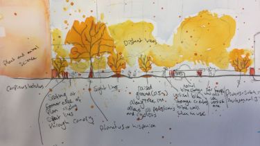 Drawing in landscape architecture