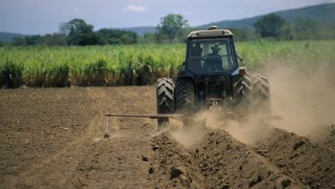 An image of a tractor ploughing a field of green crops.