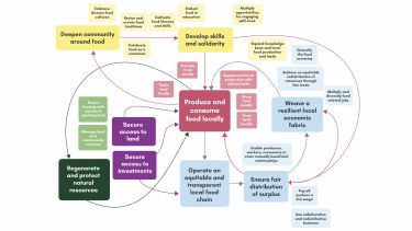 The Ecosystem model illustrates how a local food system works through a series of virtuous cycles.