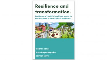 Cover for the report, Resilience and transformation