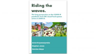 Cover for the report, 'Riding the waves'