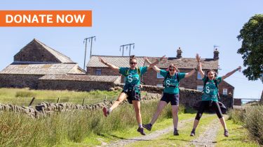 Donate now - image of big walk participants leaping in the air