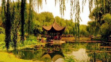 Hugh McDaniel, Taoranting Park - Cultures & Customs 1st