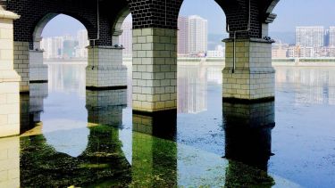 India McKellar, Zhangjiajie Bridge - Artistic Images 2nd