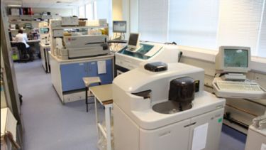 Bone biochemistry lab
