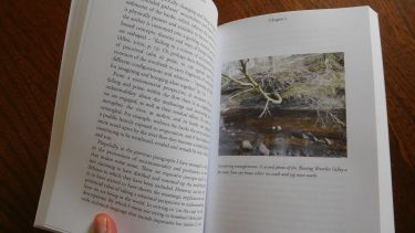 A hard copy of Stephen Allen's new book.