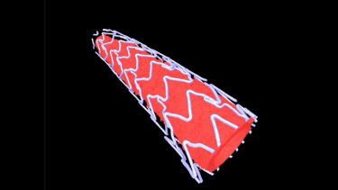 Stent with latex