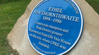 A photo of the new blue heritage plaque