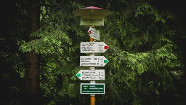 A signpost in front of several trees with multiple signs pointing in different directions.