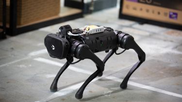 Opteran robot with four legs