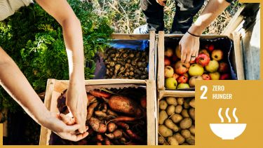 food in boxes with sdg3 logo overlaid
