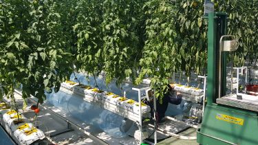KITECH growing facilities 