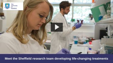 Click to watch video about the Sheffield genetic disease research team