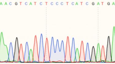 Molecular data