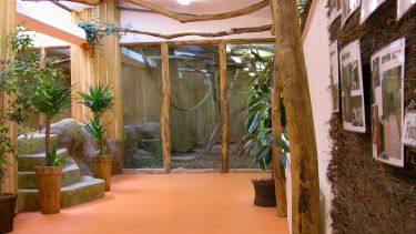 Pavilion of apes in Zoo Brno, Czech Republic